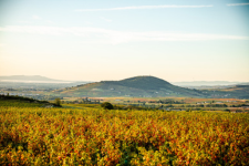 AOP Brouilly