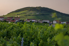 AOP Côte de Brouilly