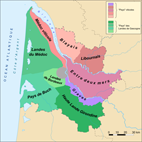 Le Bordelais
